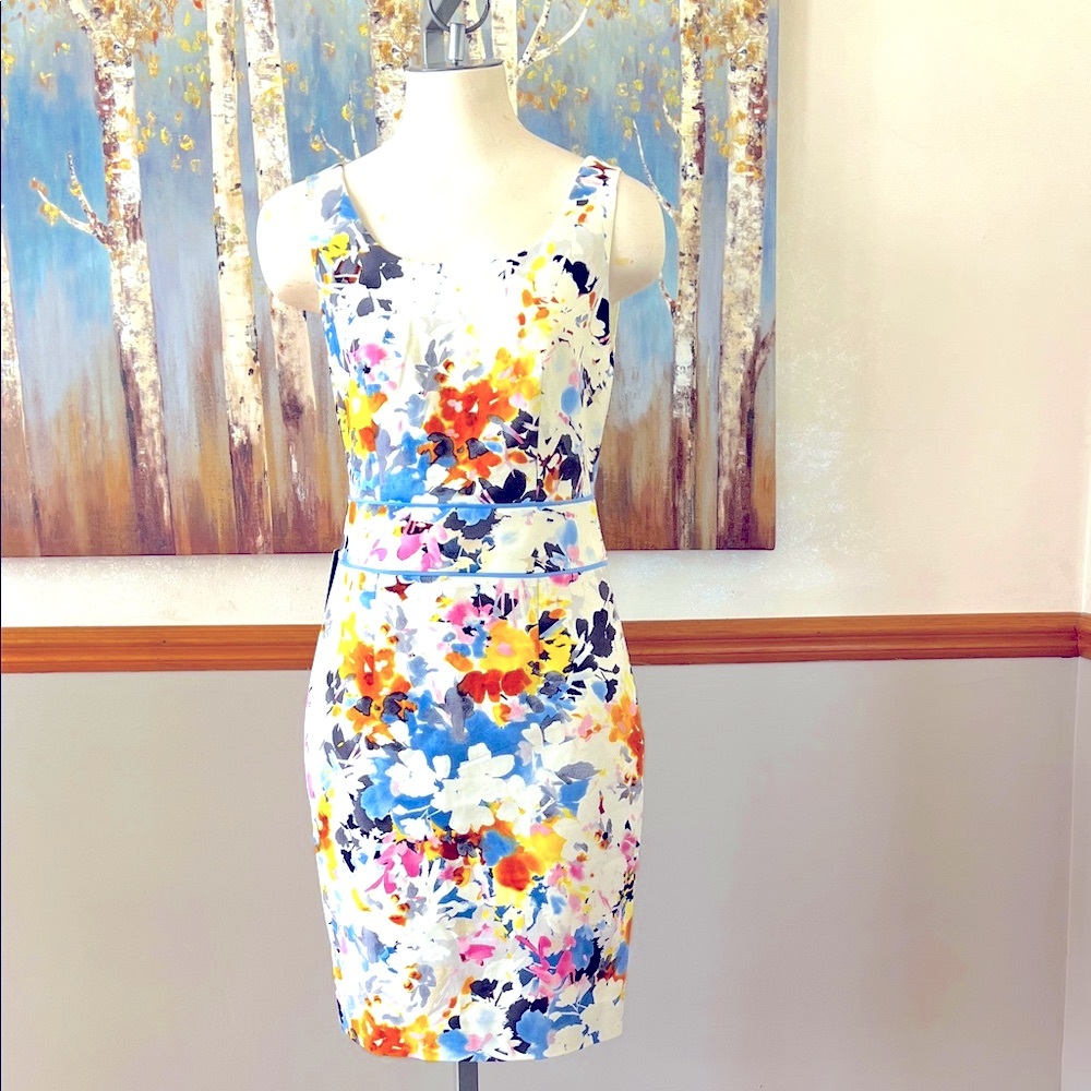 The Limited Floral Sleeveless Dress